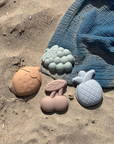 Fruits Beach Mould Set