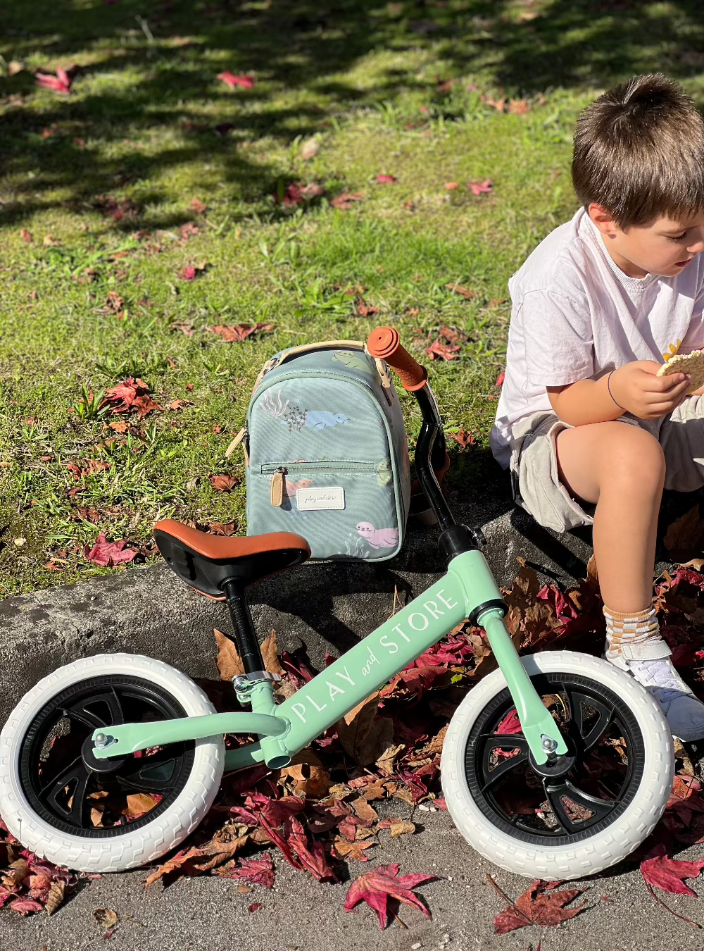 Premium Balance Bike